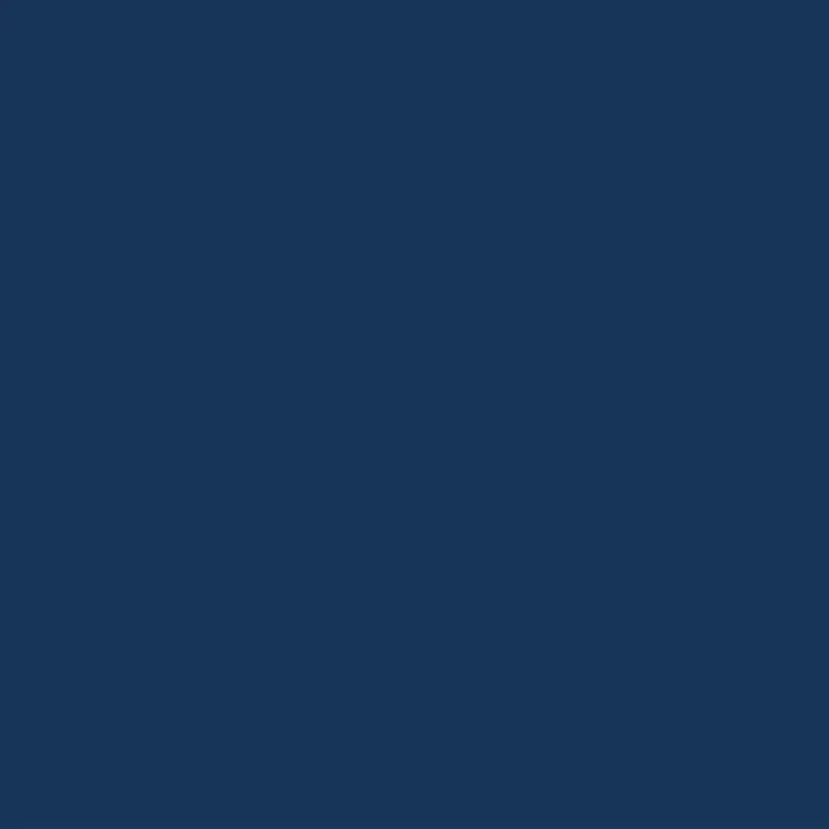 Peinture extérieure bois Xpro3 RIPOLIN bleu marine satiné 0.5l