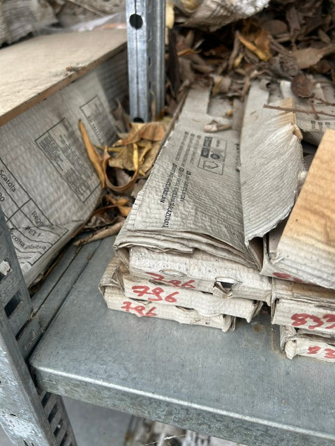 Lot de 2 plinthes carrelage Béton gris clair n°27, Ht. x L. 60 cm, Ep.8.9 mm