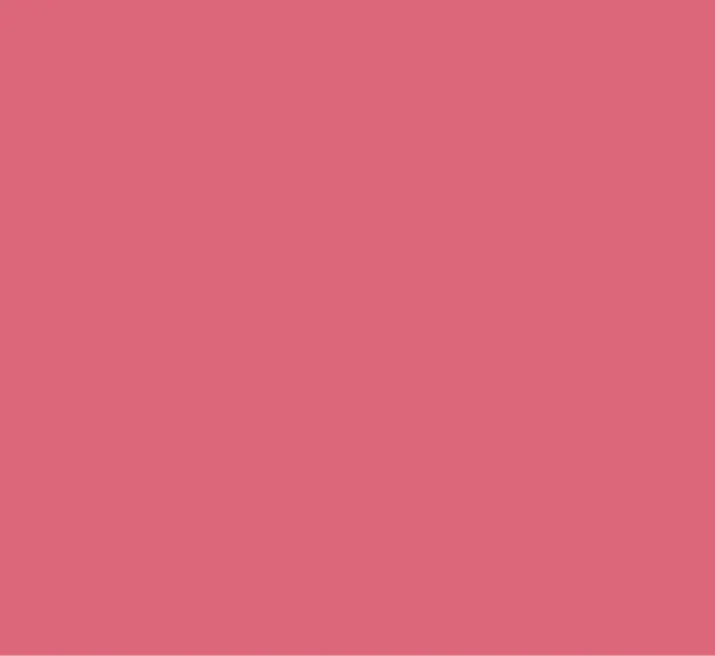 Peinture rose fushia mur et boiserie Chambre d'enfants RIPOLIN satiné 0.5 l