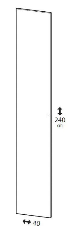 Porte battante SPACEO Home 240 x 40 x 1.6 cm, anthracite