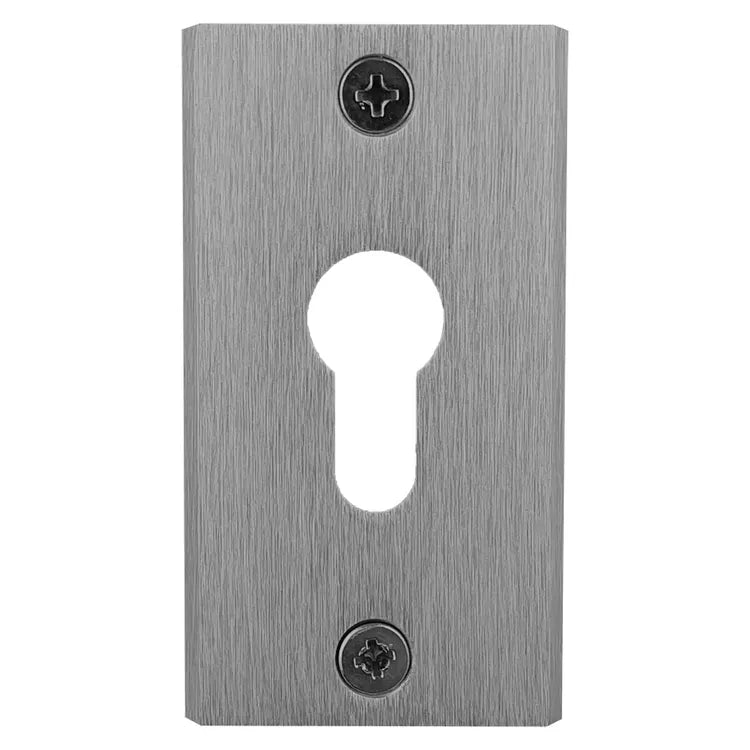 2 rosaces de fonction blindées Securit ALPERTEC, 50 x 60 mm, inox
