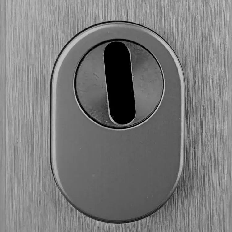 2 rosaces de fonction blindées Securit ALPERTEC, 50 x 60 mm, inox