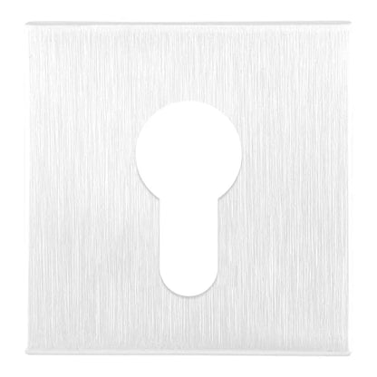 2 rosaces carrées ALPERTEC trou de cylindre, inox blanc A11