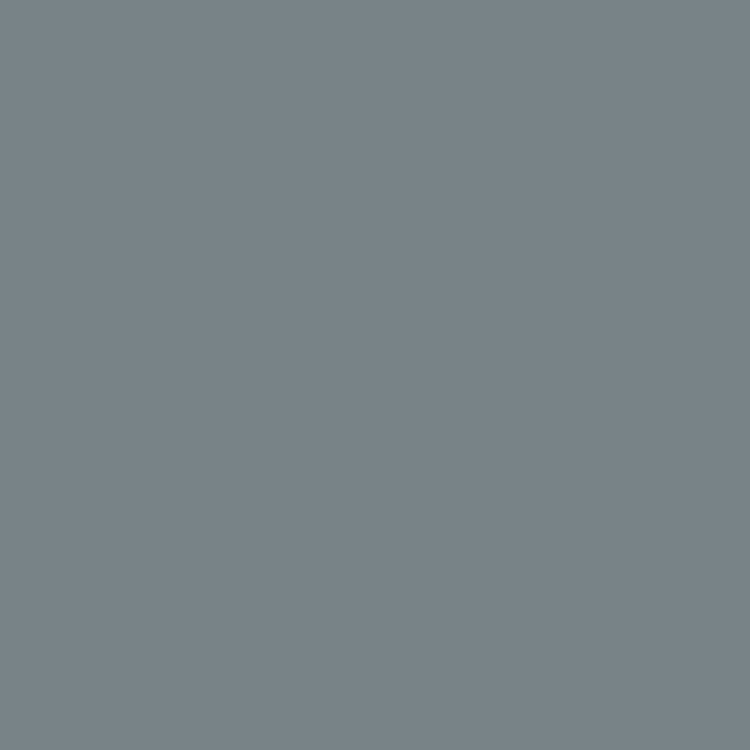 Peinture extérieure bois Xpro3 RIPOLIN gris bleu satiné 2.5l
