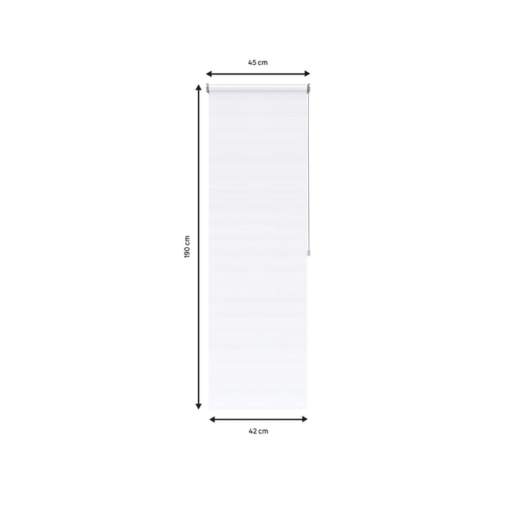 Store enrouleur jour/nuit Athenes blanc, l.45 x H.190 cm, INSPIRE