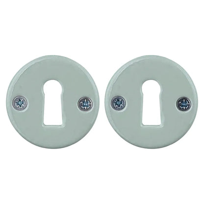 2 rosaces ALPERTEC trou de clé Lizon, porcelaine vert G4