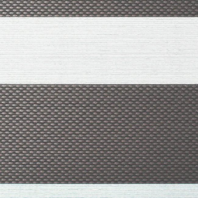Store enrouleur jour/nuit Dual anthracite, l.65 x H.160 cm, DECOSOL DELUXE