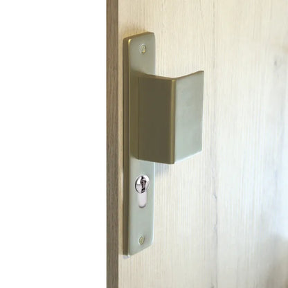 2 poignées sur plaque à cylindre Joffrin aluminium laiton satiné, entraxe 195 mm
