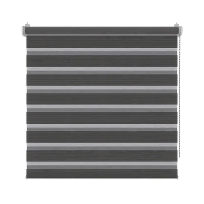 Store enrouleur jour/nuit Dual anthracite, l.65 x H.160 cm, DECOSOL DELUXE