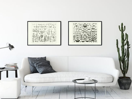 Affiche Papillons, beige EDITIONS BRAUN l.50 x H.70 cm