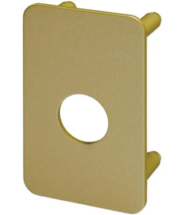 Plaque de renfort pour verrou renforcé, VACHETTE 6744v/sc bronze